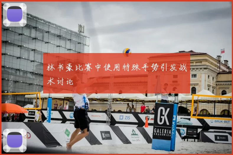 林书豪比赛中使用特殊手势引发战术讨论