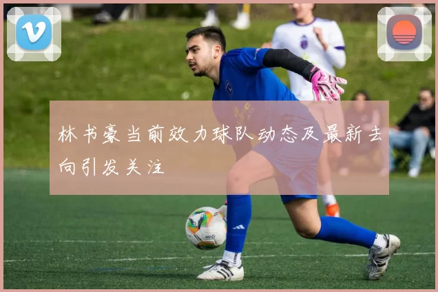 林书豪当前效力球队动态及最新去向引发关注