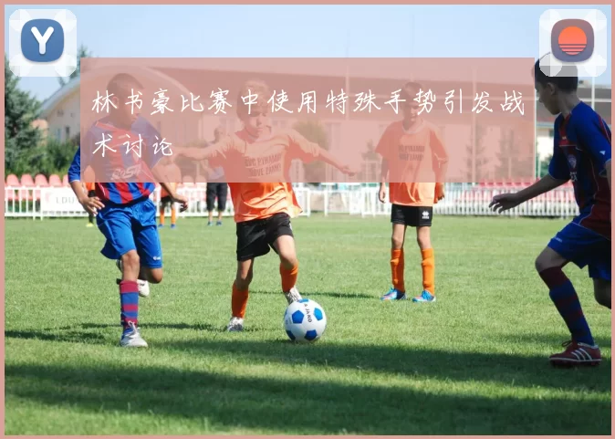 林书豪比赛中使用特殊手势引发战术讨论