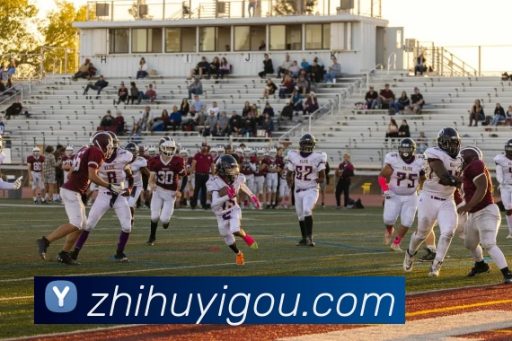 数据防护可视化